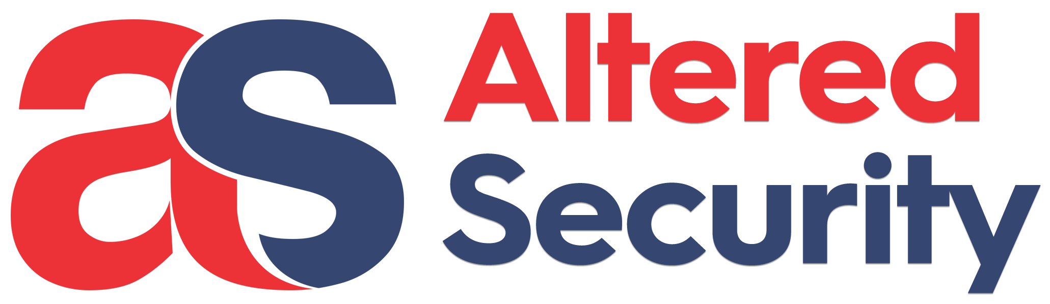 Silver Sponsor 1